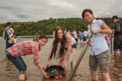 Catch A Crab Tour With Optional Seafood Lunch - Accommodation Bookings 6