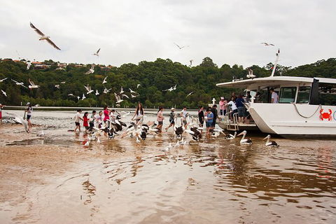Catch A Crab Tour With Optional Seafood Lunch - Accommodation Bookings 1