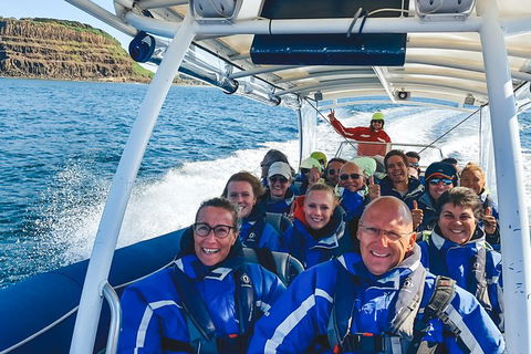 Premier Whale Watching Byron Bay - Accommodation Bookings 1