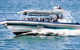 Premier Whale Watching Byron Bay - thumb 7