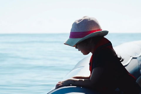 Premier Whale Watching Byron Bay - Accommodation Bookings 3