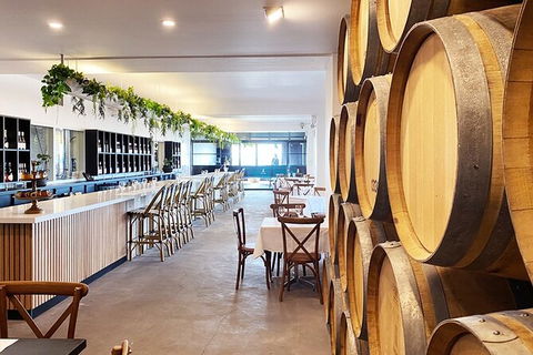 Bimbadgen Vineyard: Picnic And Premium Wine Tasting - Accommodation Bookings 1