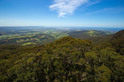 Illawarra Fly Treetop Adventures Treetop Walk Admission Ticket - Accommodation Bookings 6