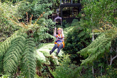 Illawarra Fly Treetop Adventures Treetop Walk Admission Ticket - Accommodation Bookings 2