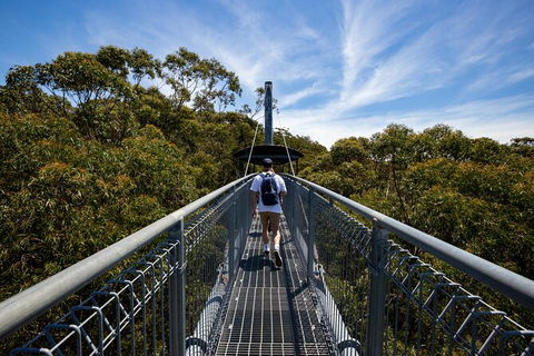 Illawarra Fly Treetop Adventures Treetop Walk Admission Ticket - Accommodation Bookings 0