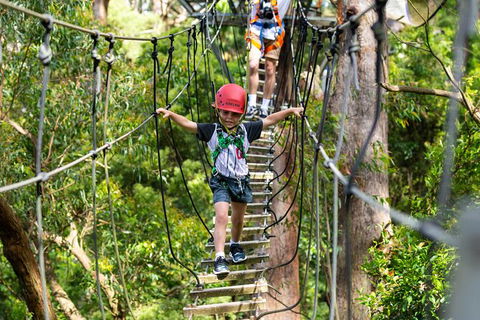 Illawarra Fly Treetop Adventures Treetop Walk Admission Ticket - Accommodation Bookings 3
