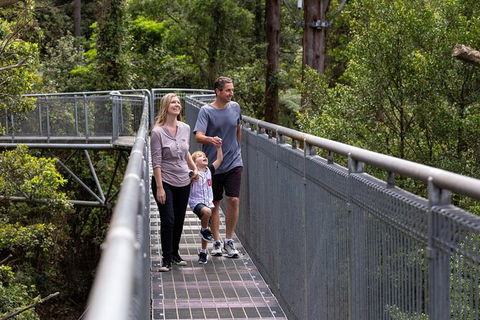 Illawarra Fly Treetop Adventures Treetop Walk Admission Ticket - Accommodation Bookings 1