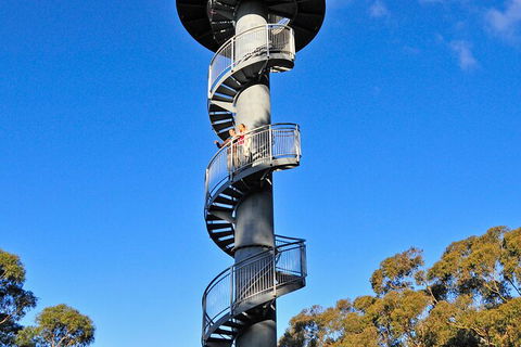 Illawarra Fly Treetop Adventures Treetop Walk Admission Ticket - Accommodation Bookings 5