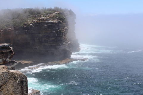 Iconic Sights Of Sydney Tour With FREE Photography Package - Accommodation Bookings 3