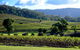 Ivanhoe Wines: Trip Advisor Seated Wine Tasting Masterclass - thumb 4