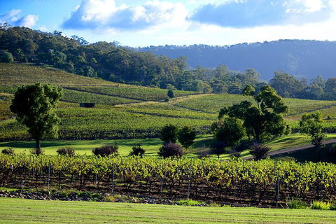 Ivanhoe Wines: Trip Advisor Seated Wine Tasting Masterclass - Accommodation Bookings 4