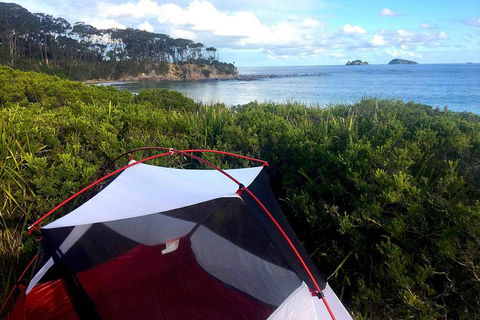 Batemans Bay Overnight Kayak Camping Tour - All Inclusive - Accommodation Bookings 0