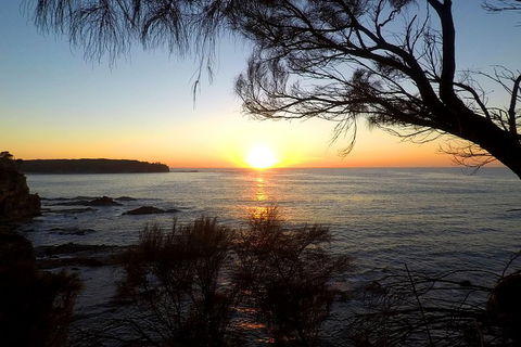 Batemans Bay Overnight Kayak Camping Tour - All Inclusive - Accommodation Bookings 1
