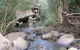 Bomaderry Creek Regional Park - thumb 0