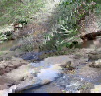 Bomaderry Creek Regional Park - Accommodation Bookings