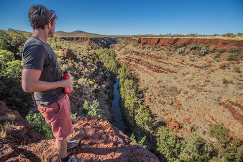 Gorge Rim Walk, Dales Gorge - Accommodation Bookings 0