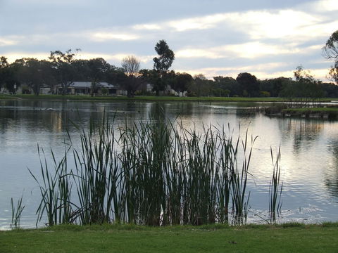 Luke Park And Jerilderie Lake - Accommodation Bookings 2