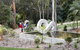 Maroochy Regional Bushland Botanic Garden - thumb 0