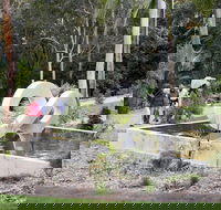 Maroochy Regional Bushland Botanic Garden