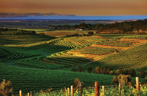 Mclaren Vale - Accommodation Bookings 1