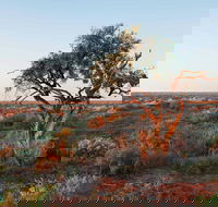 Merton Motor Trail - Accommodation Bookings