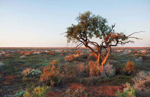 Merton Motor Trail - Accommodation Bookings 0