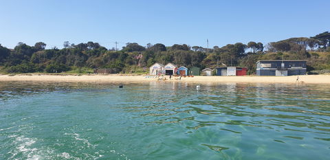 Mothers Beach, Mornington - Accommodation Bookings 0