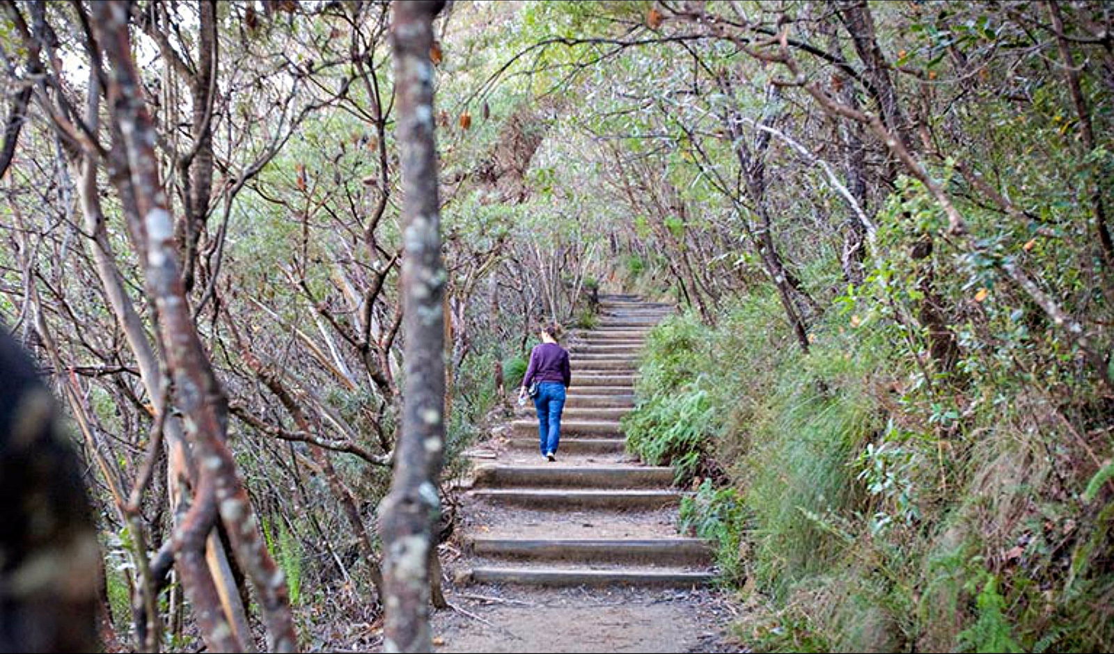 Wentworth Falls NSW Accommodation Bookings