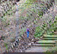 Princes Rock Walking Track - Accommodation Bookings