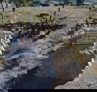 Wangaraleednie Monument  Ruins - Accommodation Bookings
