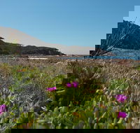 Big Rocky Full Day Guided Walk - Accommodation Bookings