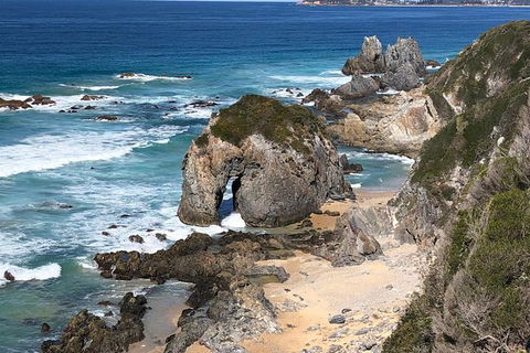 Narooma And Tilba Valley Private Tour - Accommodation Bookings 8
