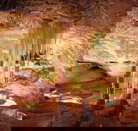 Jenolan Caves Ribbon Cave Tour - Accommodation Bookings