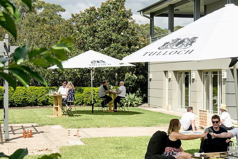 Tulloch Wines- Mystery Wine Tasting Experience With Local Cheese And Charcuterie - Accommodation Bookings 5