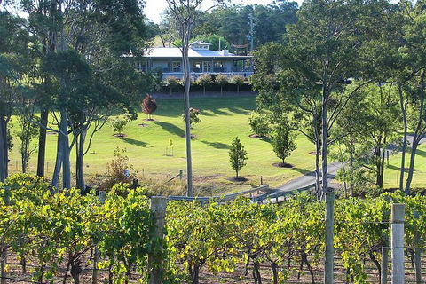 Tulloch Wines- Mystery Wine Tasting Experience With Local Cheese And Charcuterie - Accommodation Bookings 9