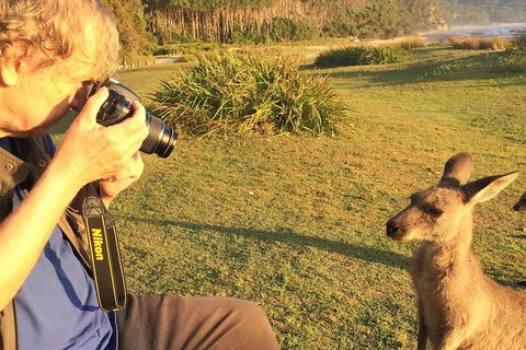 Highlights Of The Eurobodalla (half Day Private Tour) - Accommodation Bookings 2