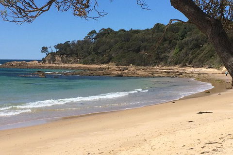 Highlights Of The Eurobodalla (half Day Private Tour) - Accommodation Bookings 5