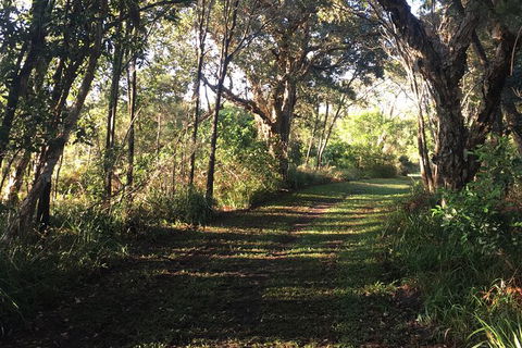 Coffs Harbour To Sawtell Bike Ride - Accommodation Bookings 7