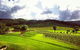 Ivanhoe Wines: Trip Advisor Wine Masterclass With Cheese Plate - thumb 3