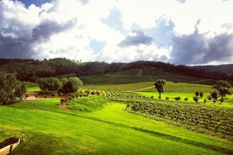 Ivanhoe Wines: Trip Advisor Wine Masterclass With Cheese Plate - Accommodation Bookings 3