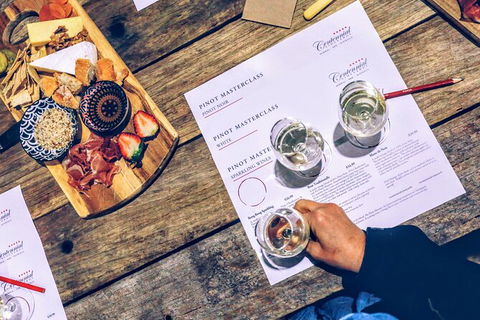 Taste Of The Highlands: Pinot Masterclass And Gourmet Lunch With Wine Pairings - Accommodation Bookings 4