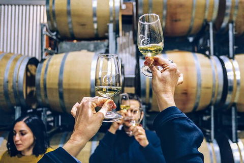 Taste Of The Highlands: Pinot Masterclass And Gourmet Lunch With Wine Pairings - Accommodation Bookings 8