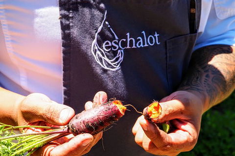 Taste Of The Highlands: Pinot Masterclass And Gourmet Lunch With Wine Pairings - Accommodation Bookings 11