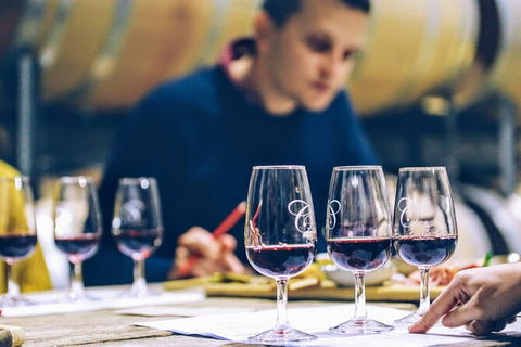 Taste Of The Highlands: Pinot Masterclass And Gourmet Lunch With Wine Pairings - Accommodation Bookings 2