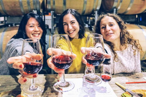 Taste Of The Highlands: Pinot Masterclass And Gourmet Lunch With Wine Pairings - Accommodation Bookings 6