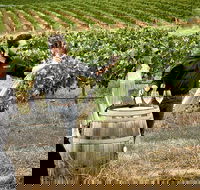 VIP Soil-To-Cellar Experience - Accommodation Bookings
