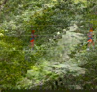 Illawarra Fly Treetop Adventures Admission Including Zipline Tour - Accommodation Bookings