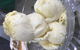 Taste Of Afghanistan Syria And Persia In Merrylands - thumb 7
