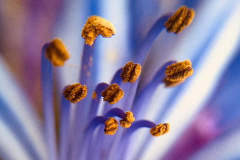 Photo Tour With An IPhone - Accommodation Bookings 5