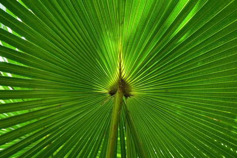 Photo Tour With An IPhone - Accommodation Bookings 0